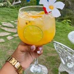 BEBIDAS 3