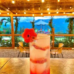 BEBIDAS 4