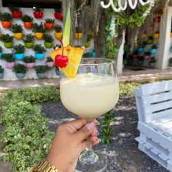 COCTELES 1