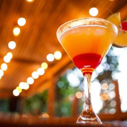 coctel-DSC07089